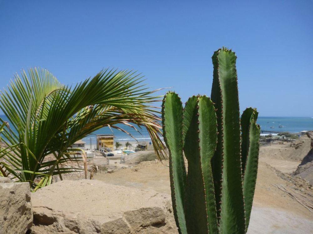 Oceanic Bungalows Los Órganos Exterior foto